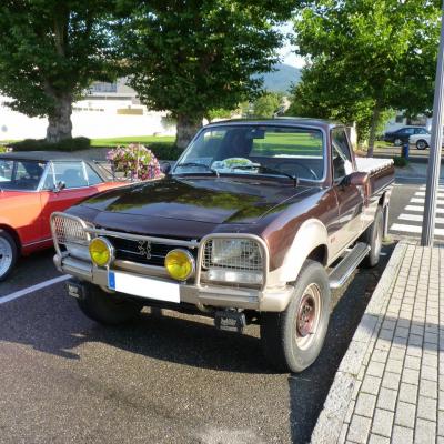 peugeot 504 dangel